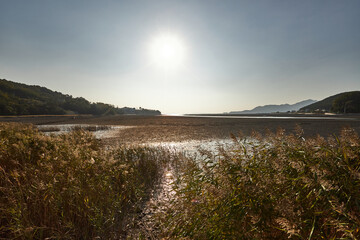 Evening scenery in front of the tidal flat of Ganghwa Island