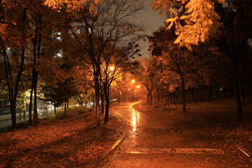 Songdo Park rainy night view
