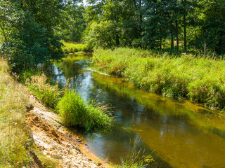 A small wild river Usa in Belarus on a sunny day