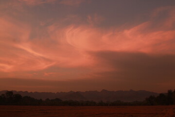 Obraz premium Golden light and silhouette in the morning