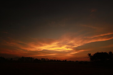 Fototapeta premium Golden light and silhouette in the morning