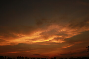 Golden light and silhouette in the morning