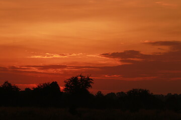 Fototapeta premium Golden light and silhouette in the morning