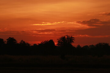 Fototapeta premium Golden light and silhouette in the morning