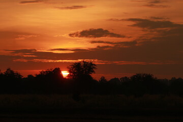 Golden light and silhouette in the morning
