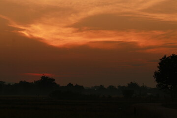 Golden light from sunrise and silhouette in the morning