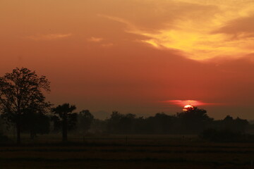 Fototapeta na wymiar Golden light from sunrise and silhouette in the morning