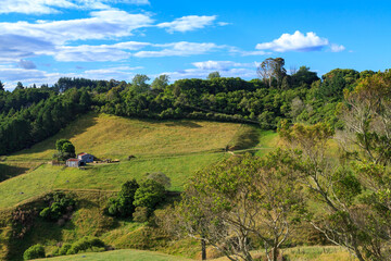 Fototapeta na wymiar Rural hill country in the Bay of Plenty, New Zealand, with grassy meadows, forest, and two metal barns