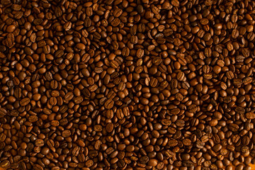 Coffee beans background, medium roasted