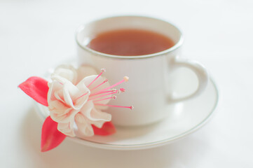 Cup of tea with flowers for decoration, airy photo 
