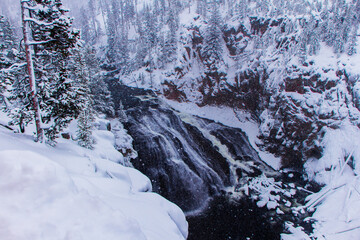 Fototapeta na wymiar Yellowstone National Park (Winter)