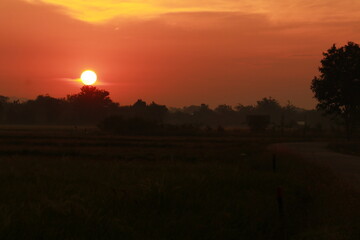 Golden light from sunrise and silhouette in the morning