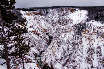 Yellowstone National Park (Winter)