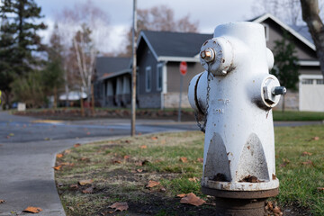 Fire Hydrant on a Sidewalk and Houses in the Background