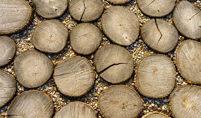 A path of sliced tree trunks with stone chips between them as natural background