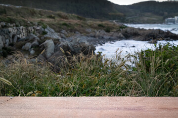 a flat, natural wooden board of empty space in front of the sea and natural background.