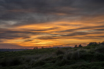 Phillip Island Victoria Australia