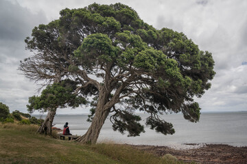 Phillip Island Victoria Australia