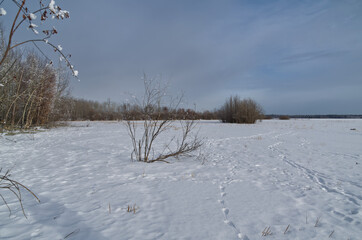 Astotin Lake during Winter Season
