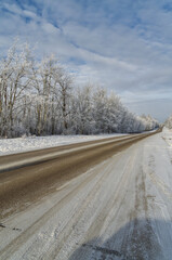 Elk Island in the Winter