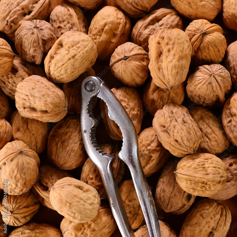 Wall mural walnut and nutcracker background- top view