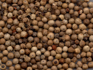 One of the spices, namely pepper grains