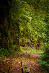 Old narrow gauge railway in mountain region.
