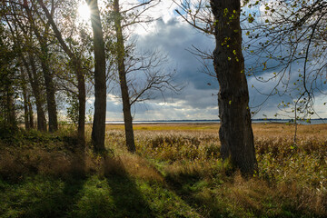 Lichtstimmung am Grabower Bodden bei Nisdorf, Nationalpark Vorpommersche Boddenlandschaft, Mecklenburg-Vorpommern, Deutschland