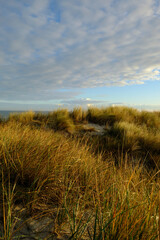 Fototapeta premium Sonnenaufgang über den Dünen im Ostseebad Prerow auf dem Darß, Fischland-Darß-Zingst, Mecklenburg Vorpommern, Deutschland