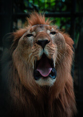 Street Photography of Philippine