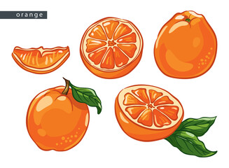 sketch_orange_set