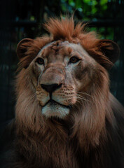 Street Photography of Philippine