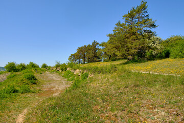 Fototapeta na wymiar Landschaft im Naturschutzgebiet Grainberg-Kalbenstein bei Karlstadt, Landkreis Main-Spessart, Unterfranken, Bayern, Deutschland