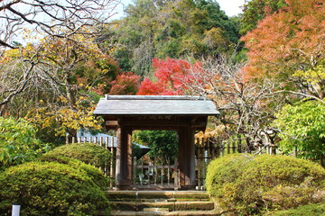 浄智寺　　　浄智寺は北鎌倉にある禅寺で、その境内は深閑とした雰囲気に包まれている。鎌倉七福神の布袋尊が祀られている。