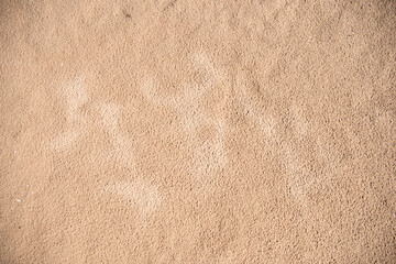 Sand background texture