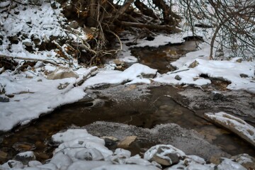 stream in the winter