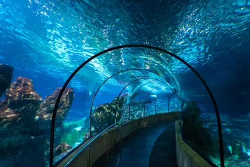 Foto op Plexiglas Water Tunnel © kenji