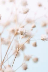 Fotobehang Raamdecoratie trends Gypsophila delicate romantische droge kleine witte bloemen op lichtblauwe bokeh natuurlijke achtergrond verticale macro