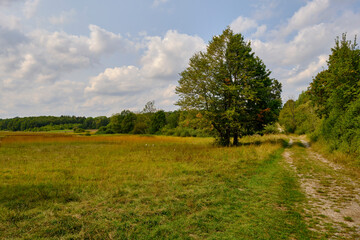 Naturwaldreservat Wolfsee im s&uuml;dlichen Steigerwald bei Dornheim, Landkreis Kitzingen, Franken, Unterfranken, Bayern, Deutschland