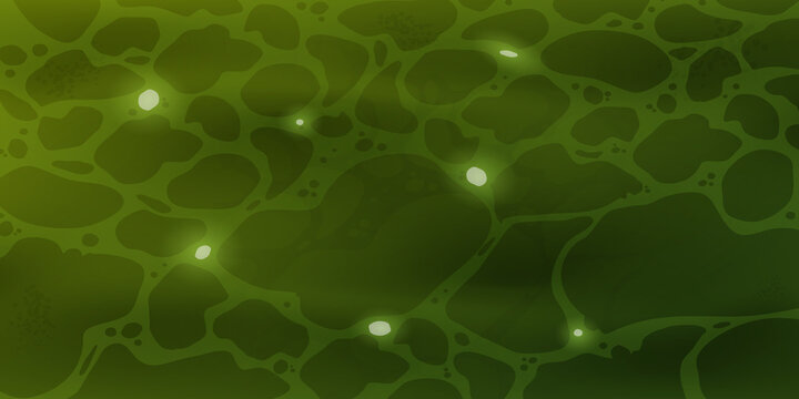 Green water surface with sunlight reflection and ripples on the background surface. Sparkling sunlight shines underwater in a clear river, sea