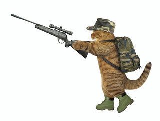 A cat hunter in military uniform is holding a rifle with optical sight. White background. Isolated.