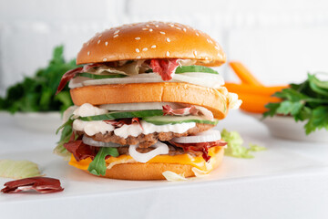 Fast food Burger. Close-up of tasty burger on a light textile table. Different type of sandwiches