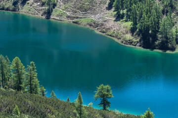Fototapeta na wymiar colorful blue mountain lake with green shore detail