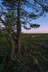 Das Naturschutzgebiet 