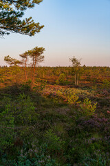 Das Naturschutzgebiet 