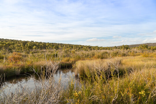 Landscape In The Two Peoples Bay Nature Reserve East Of Albany In Western Australia