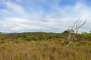 Fototapeta na wymiar Landscape of the Gull Rock National Park in the east of Albany, Western Australia