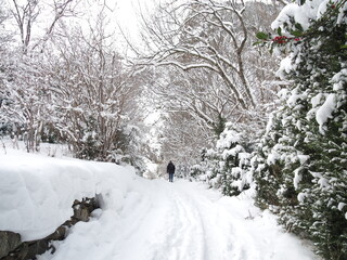 guy walking a path in the snow