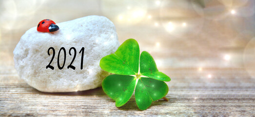 Happy New Year 2021 - lucky clover with ladybug - symbols for the New Year