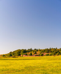 Das Naturschutzgebiet Lange Rhön in der Kernzone des Biosphärenreservat Rhön, Bayerischen Rhön, Landkreis Rhön-Grabfeld, Unterfranken, Bayern, Deutschland